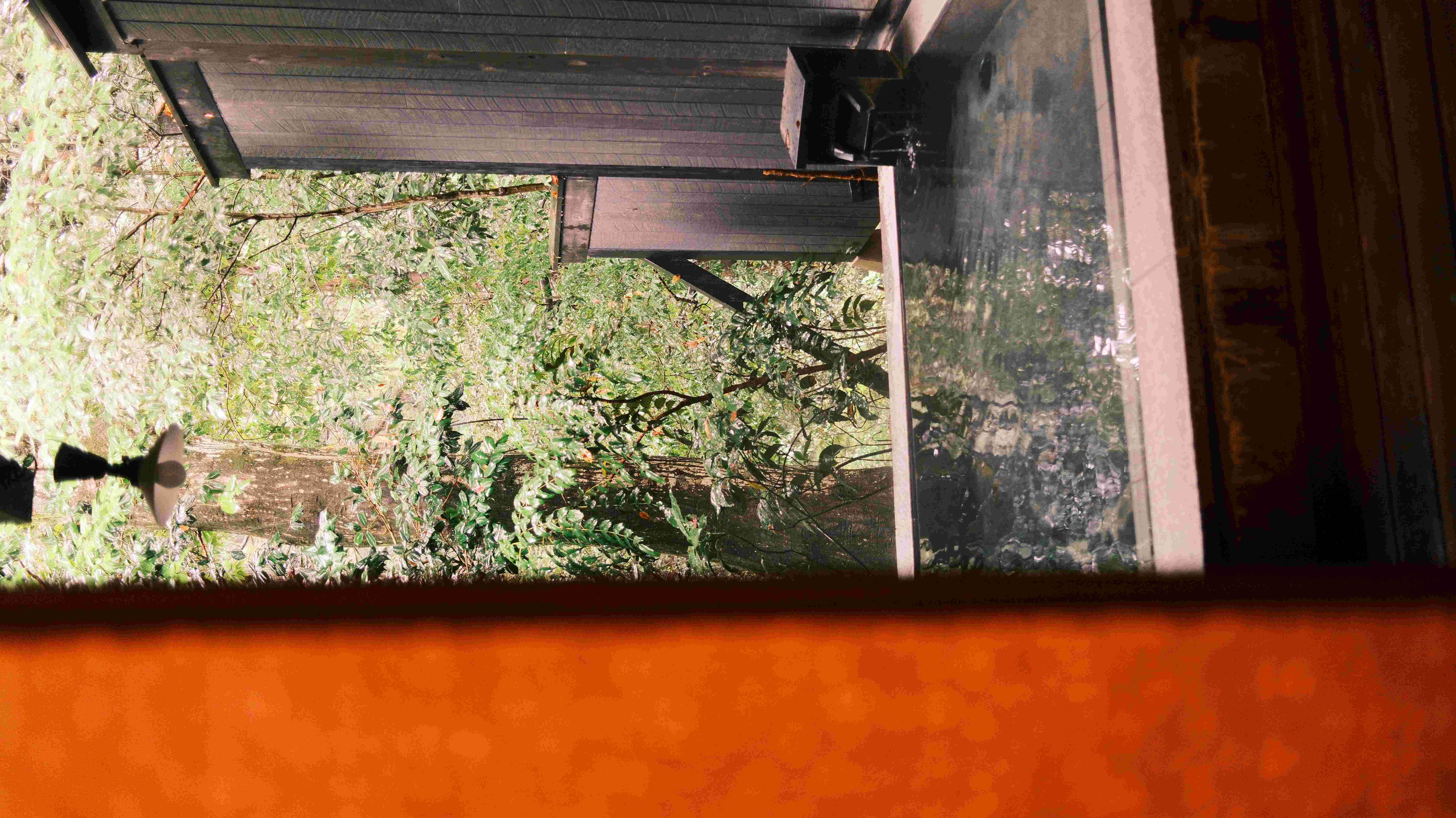 Hakone Yuryo outdoor private onsen wooden bath forest