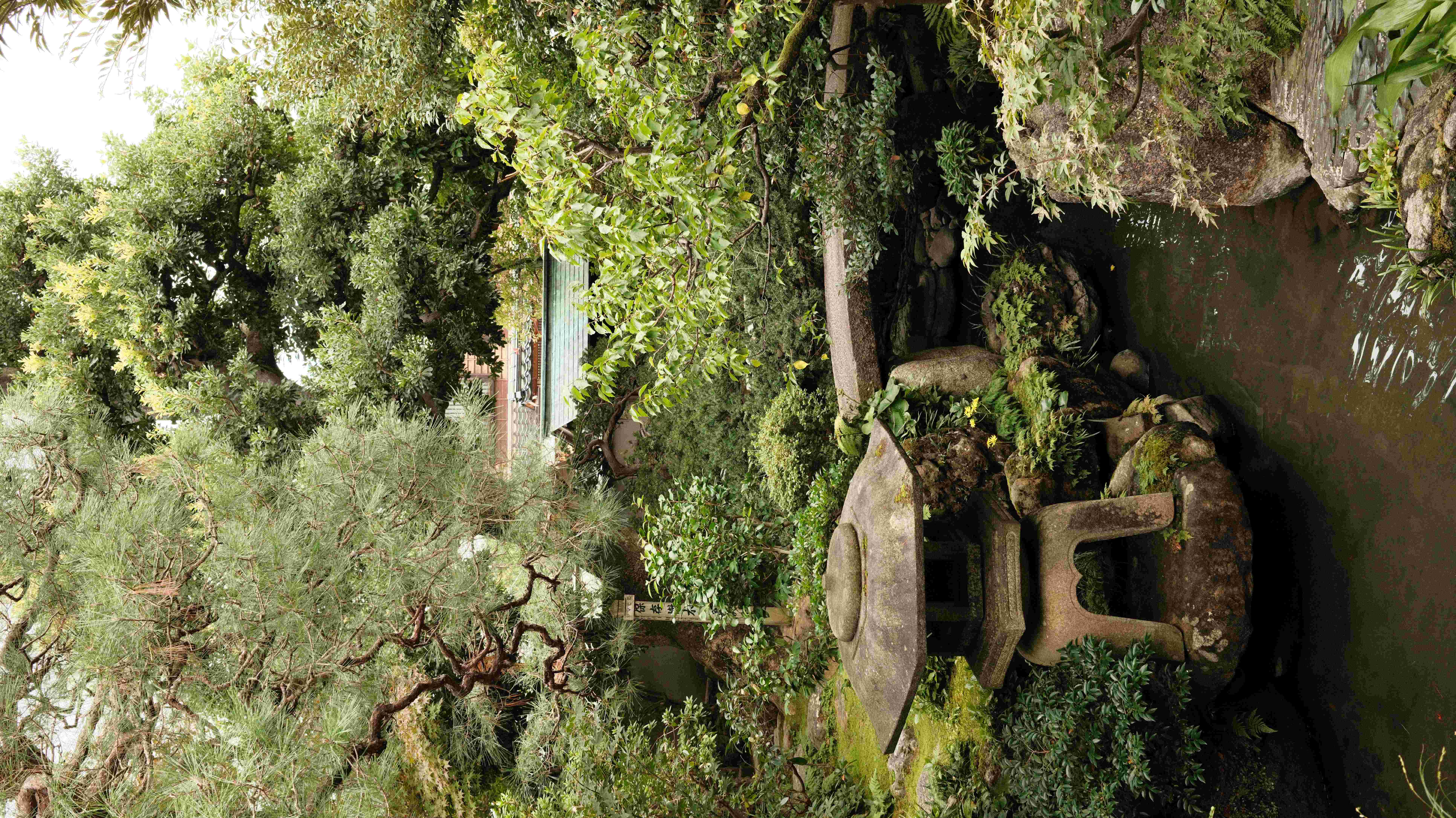 Kanazawa spring nature
