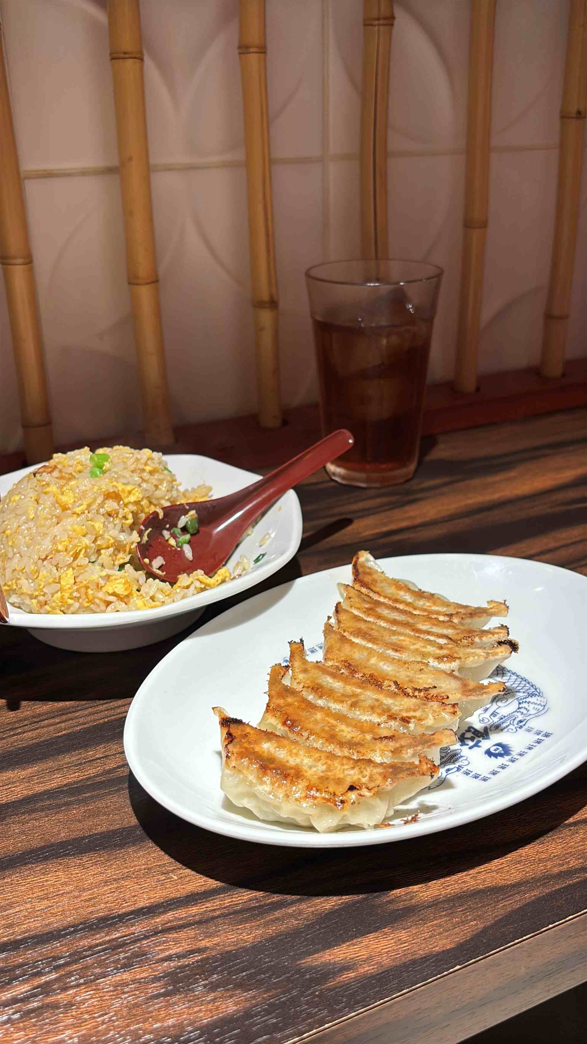 Dumplings and fried rice Min Min Honten Kobe
