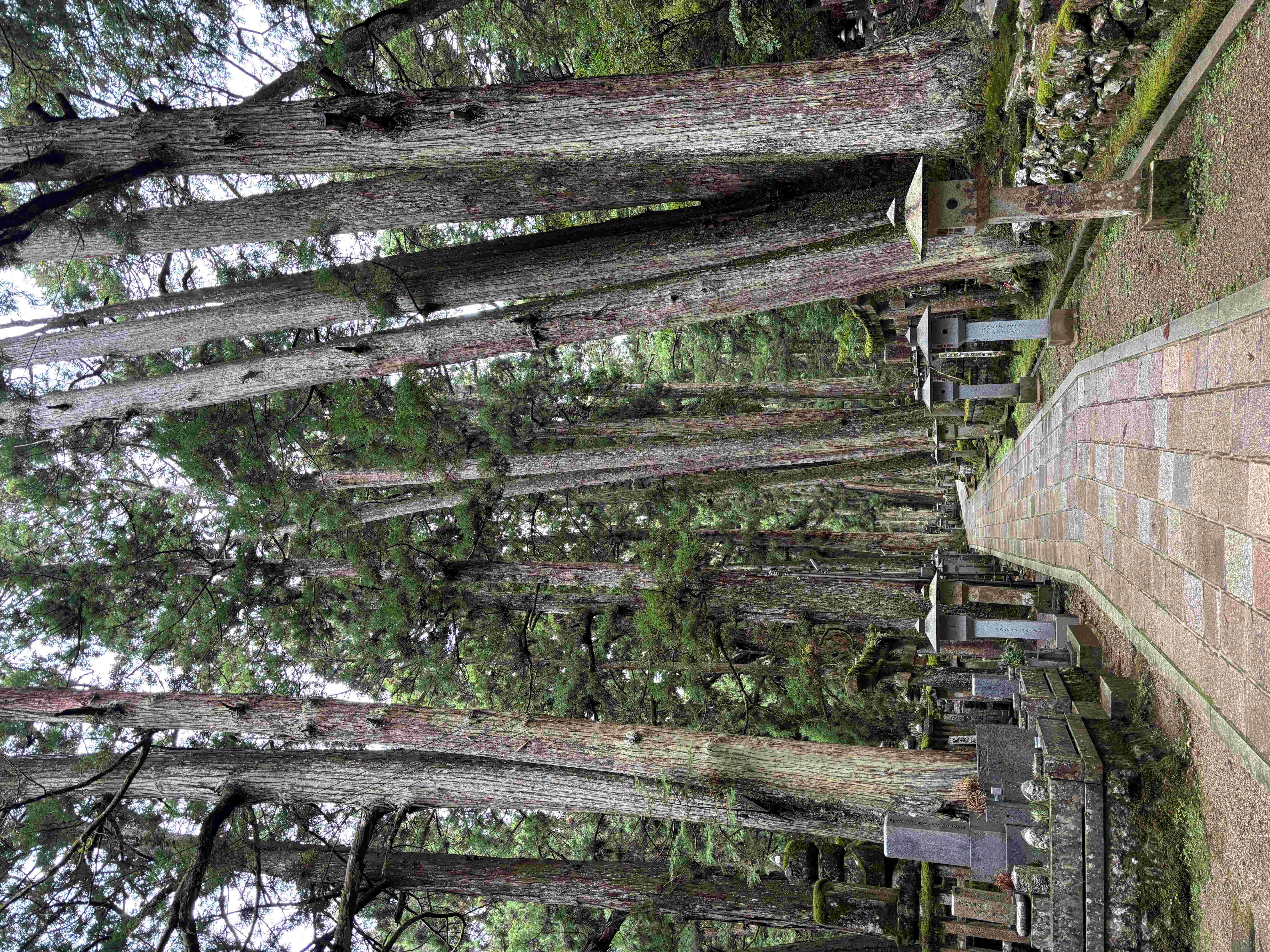 Okuno-in Cemetery Koyasan lanterns glowing cedar forest