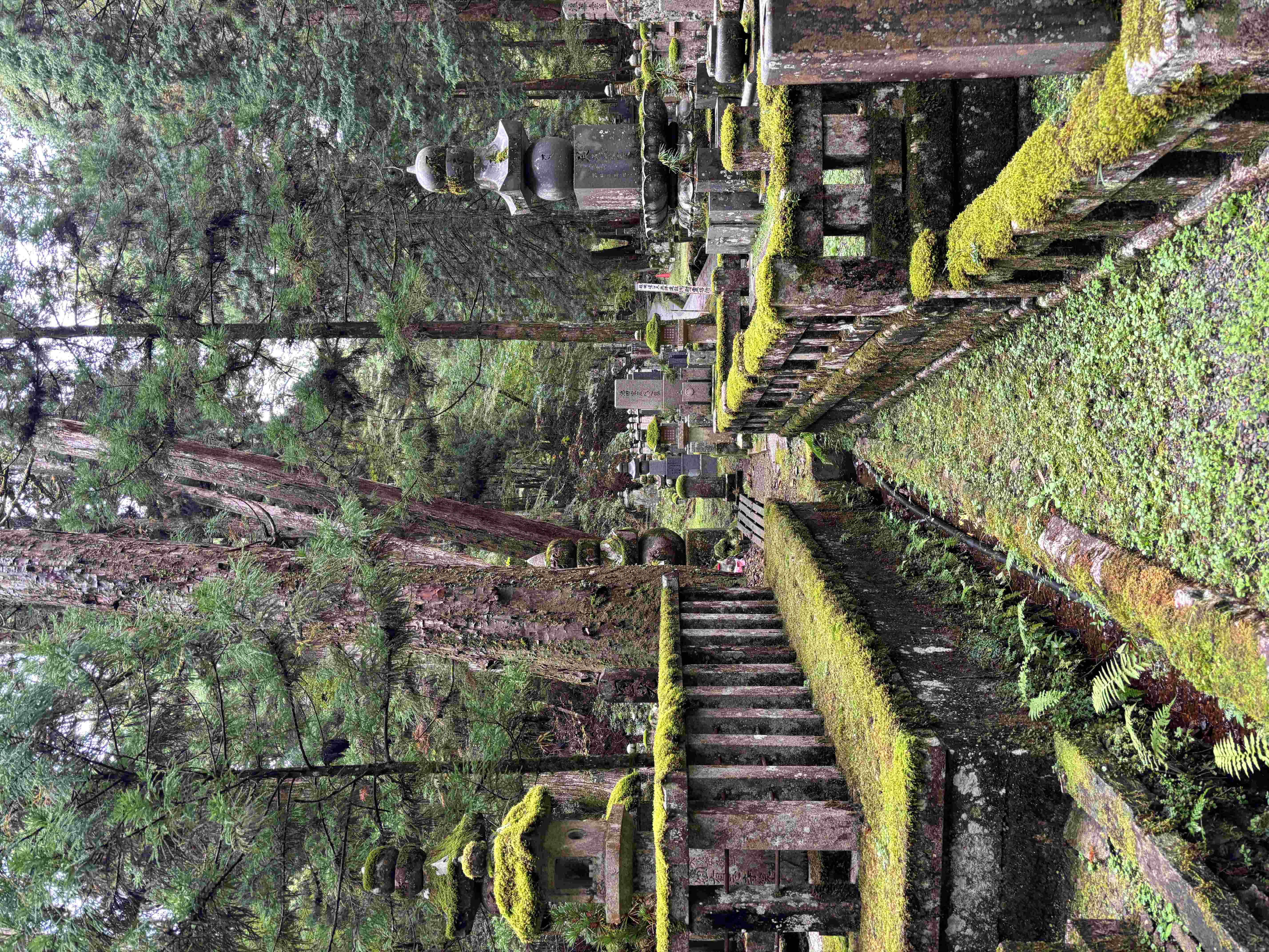 Okuno-in Cemetery Koyasan stone path through cedar forest