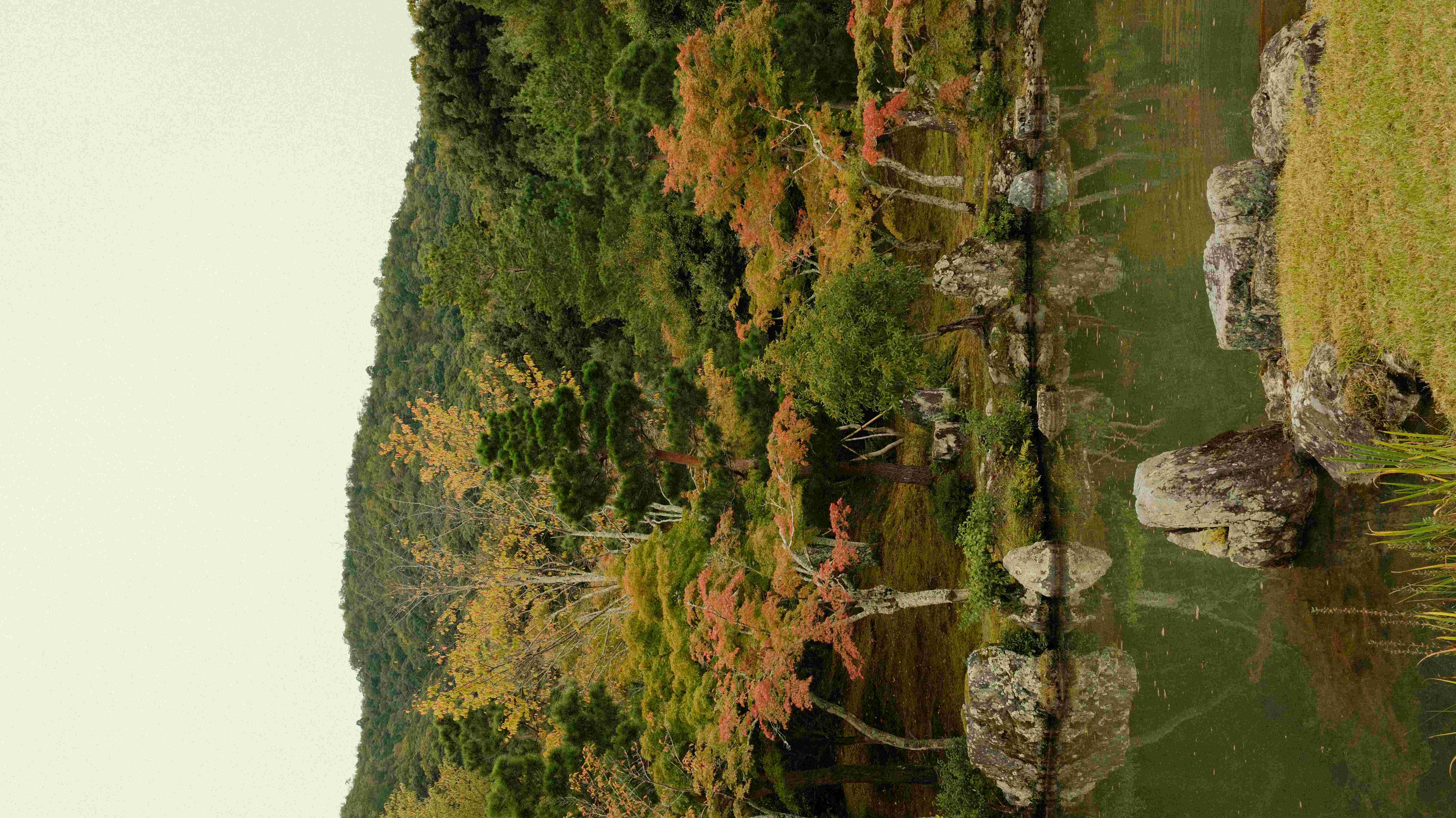 Kyoto temple garden autumn red leaves