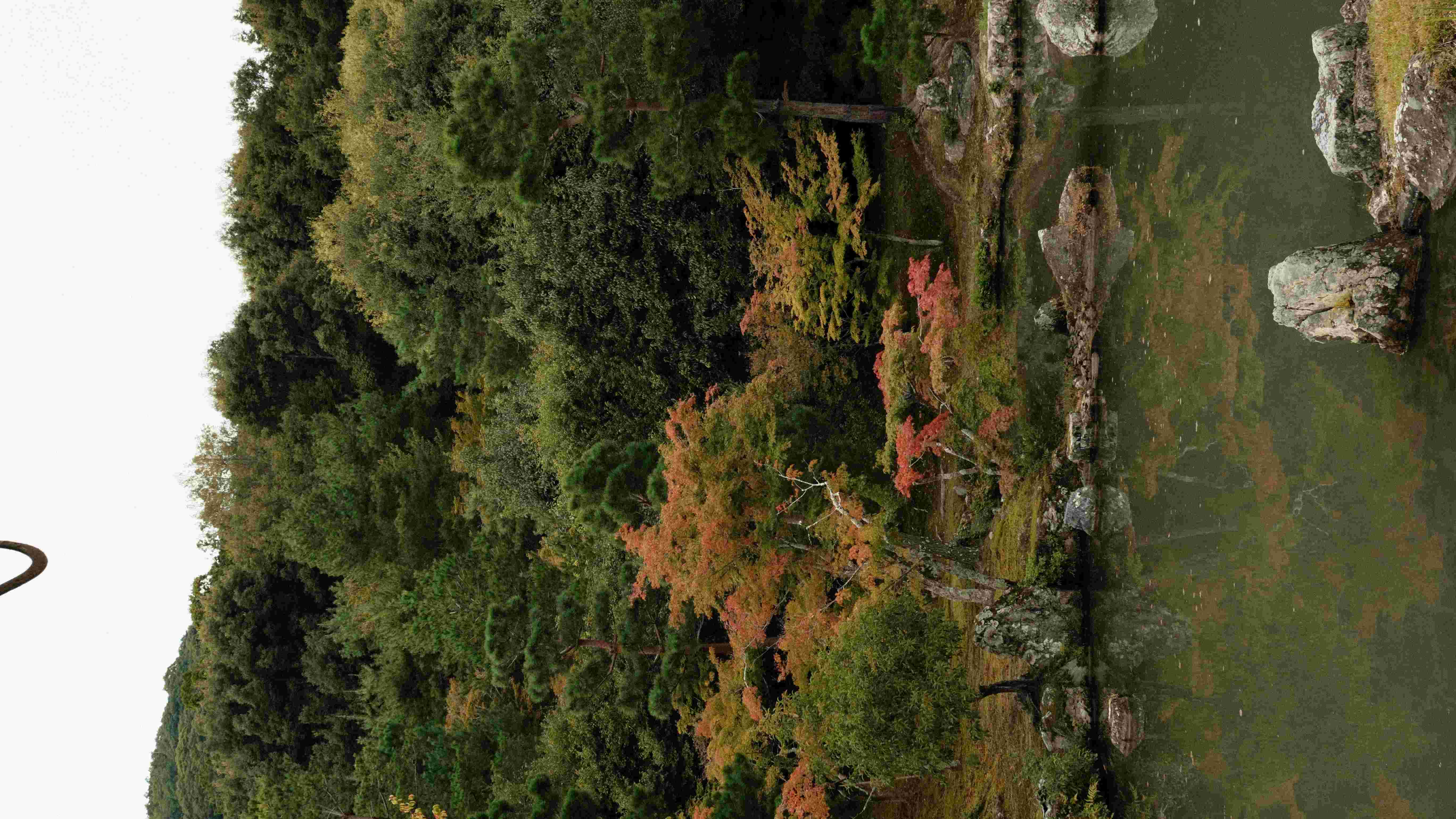 Kyoto garden red leaves