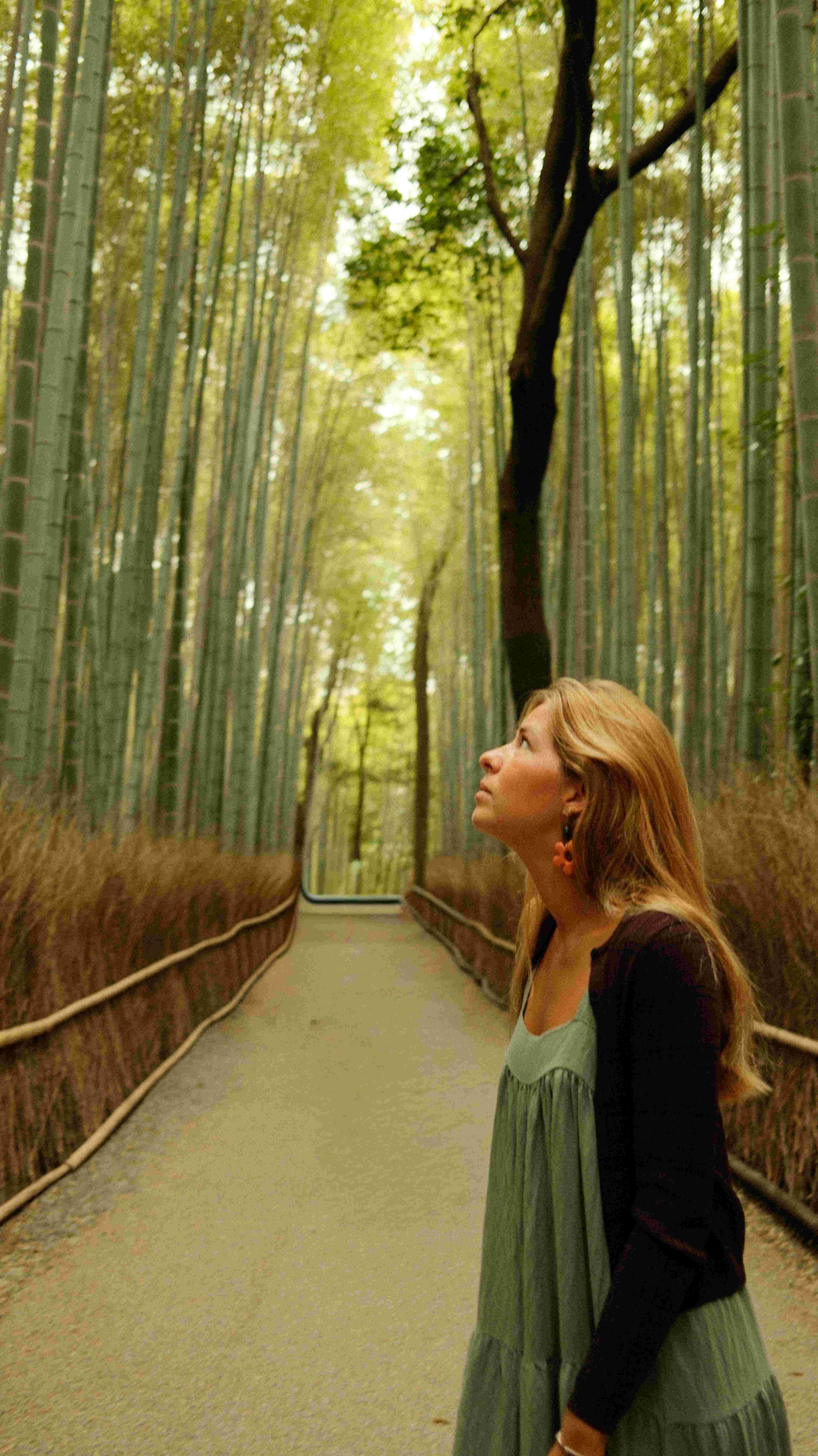 Maria in Arashiyama bamboo grove dawn Kyoto