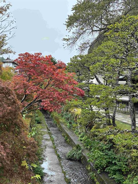 Nature around Koyasan