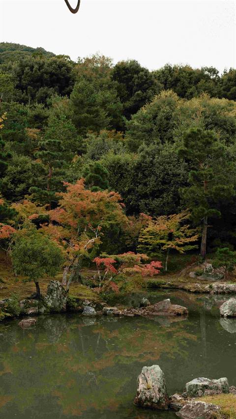 Autumn foliage in a Kyoto garden