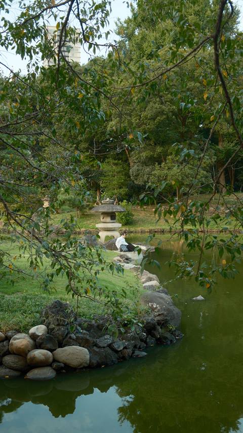 Peaceful path through Shinjuku Gyoen garden