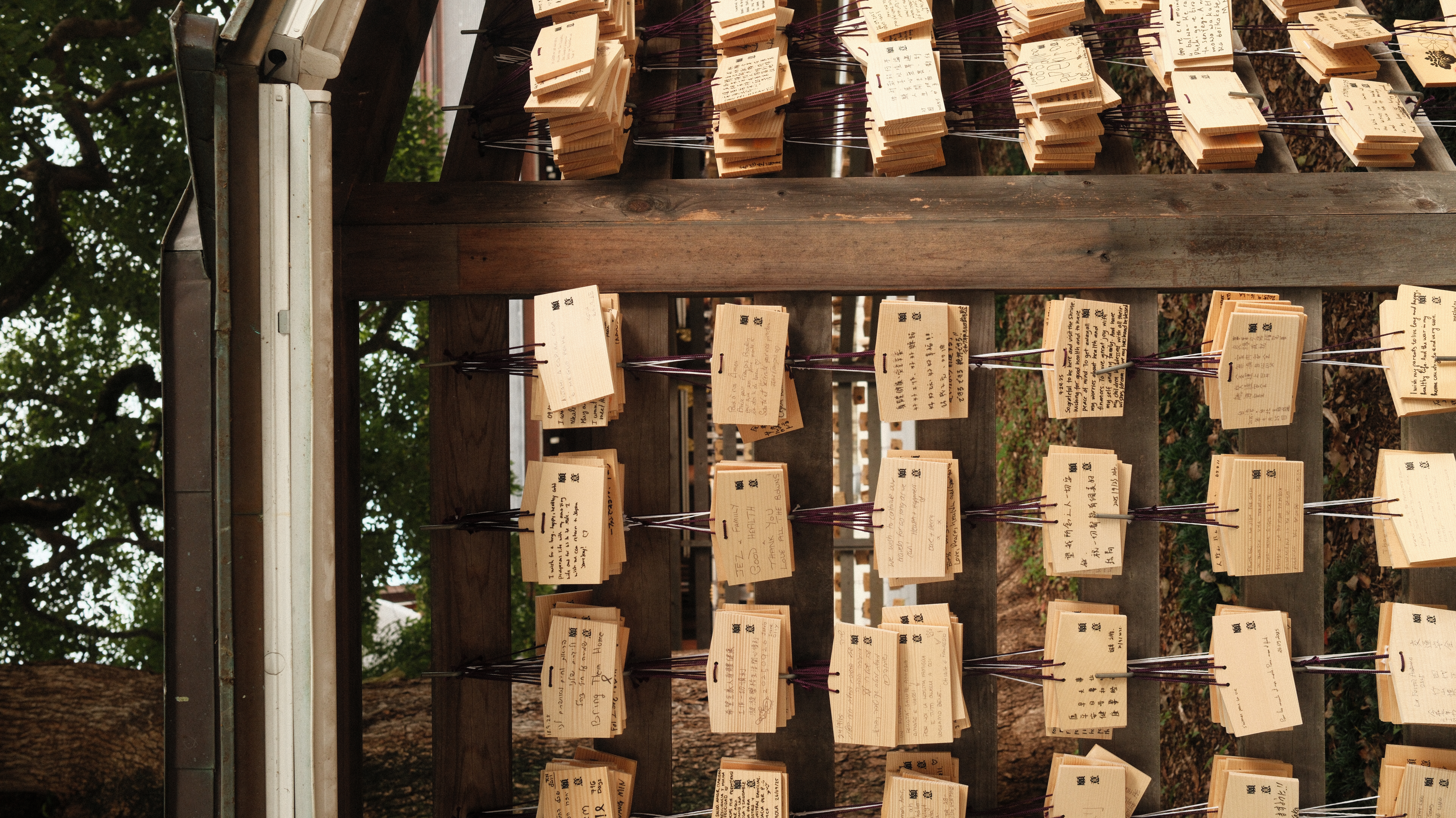 Ema wooden prayer plaques hanging at Meiji Shrine, Tokyo