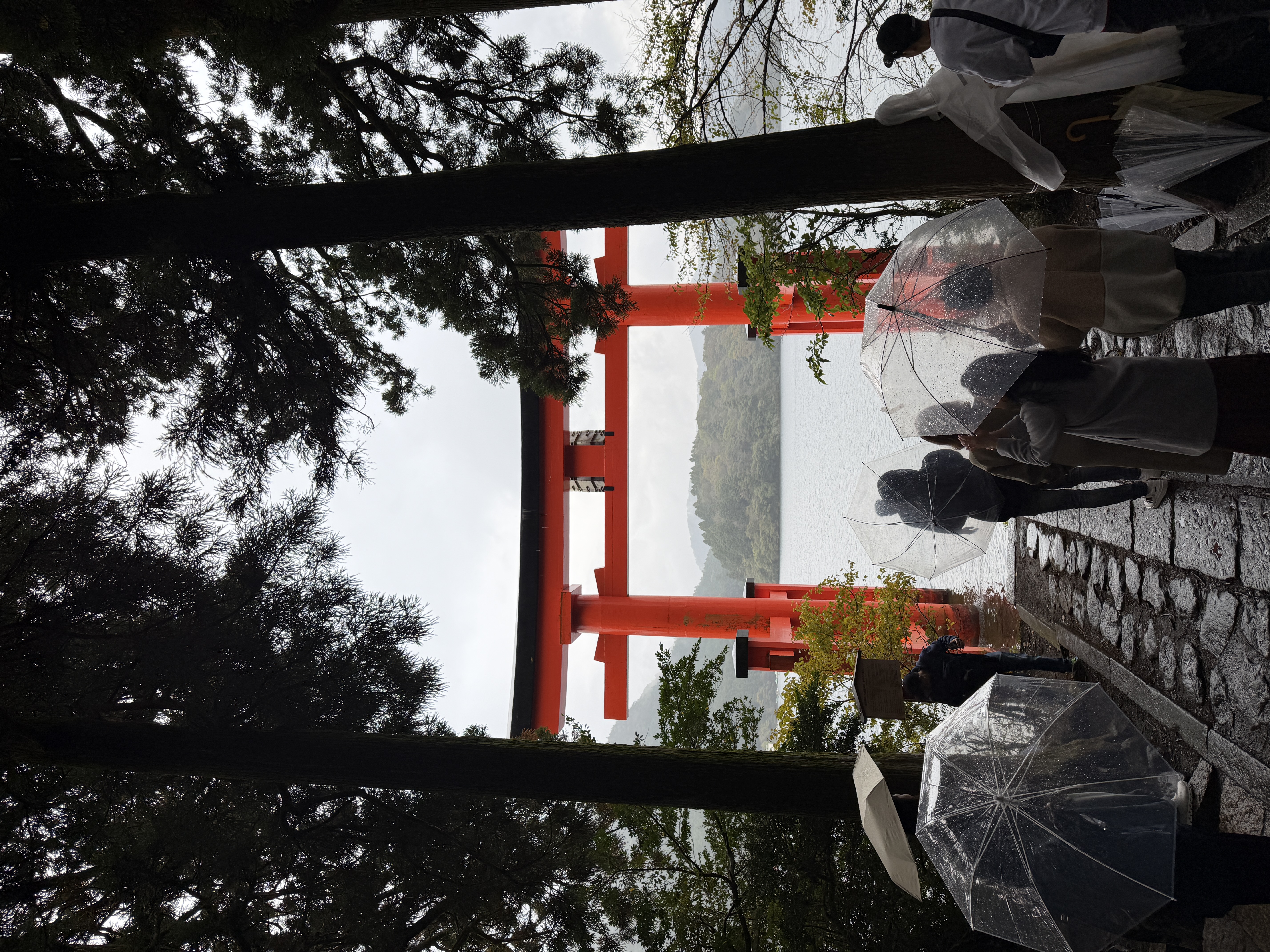 Red torii gate in the rain at Hakone Shrine, Lake Ashi Japan